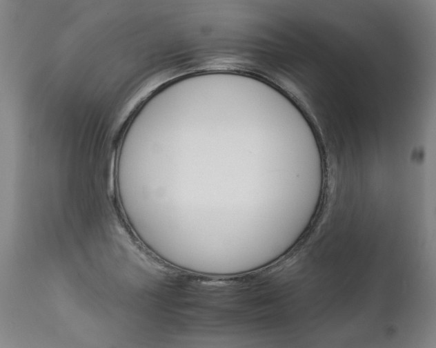 X0000113141227200909040949