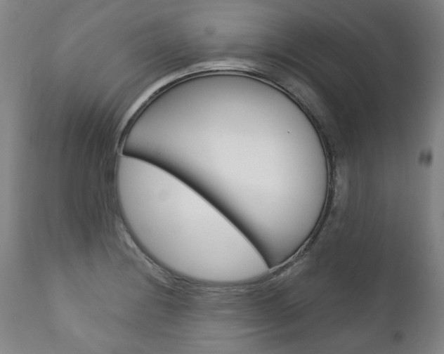 X0000113141228200909040950