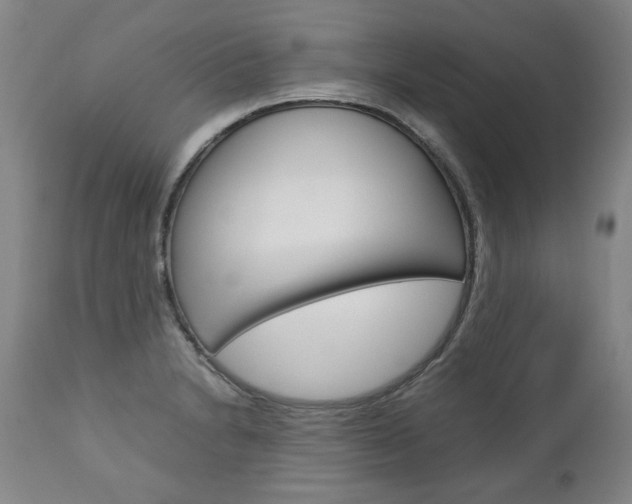 X0000113141230200909040950