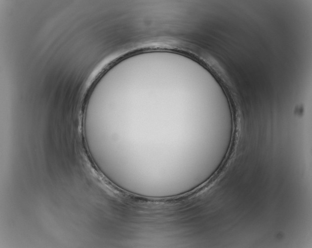 X0000113141232200909040950