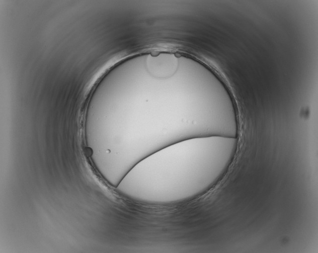 X0000113141235200909040950