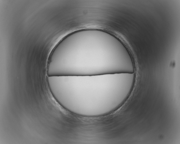 X0000113141236200909040950