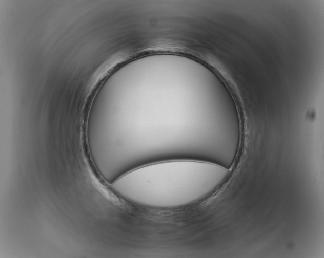 X0000113141237200909040950