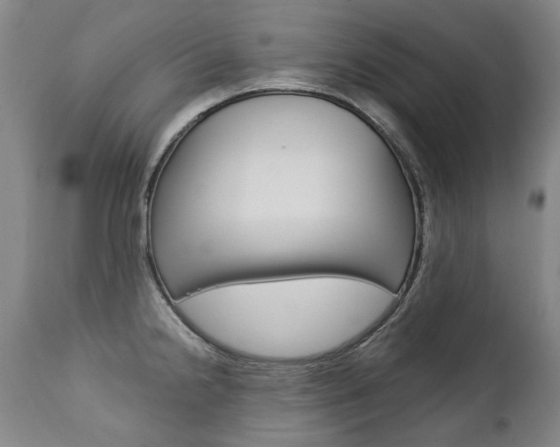 X0000113141238200909040950