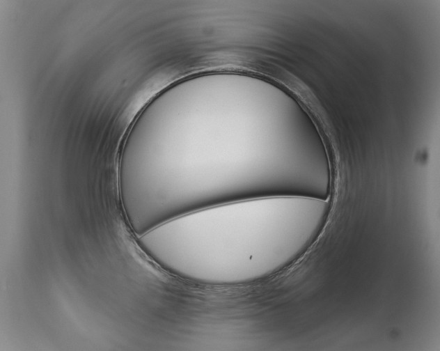 X0000113141242200909040950