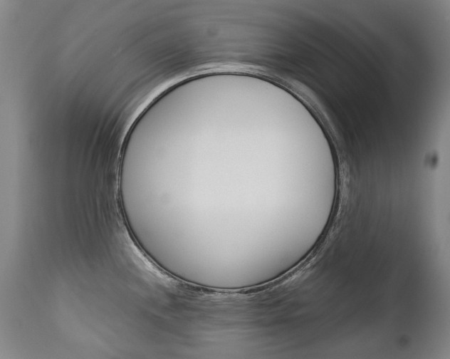 X0000113141244200909040950