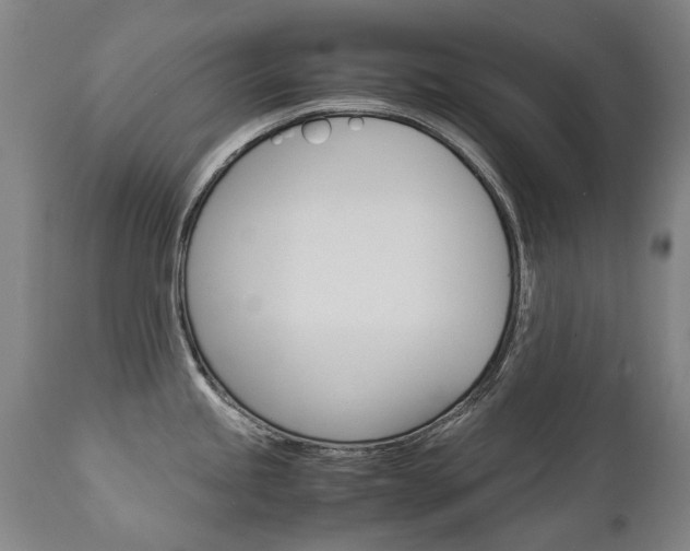 X0000113141245200909040950