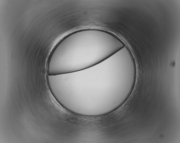 X0000113141246200909040950