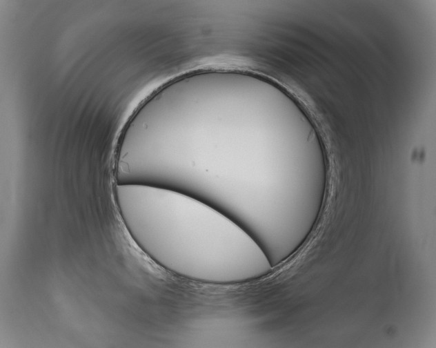 X0000113141248200909040950