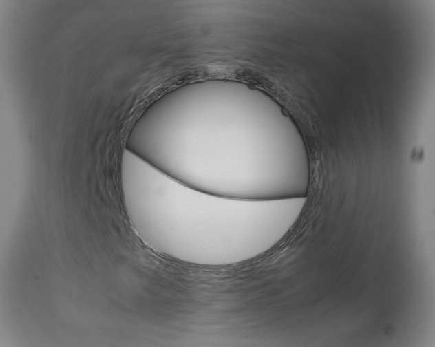 X0000113141249200909040949