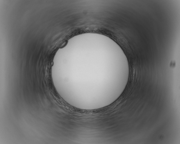 X0000113141250200909040949