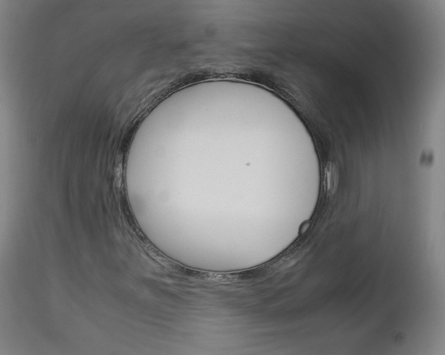 X0000113141251200909040949