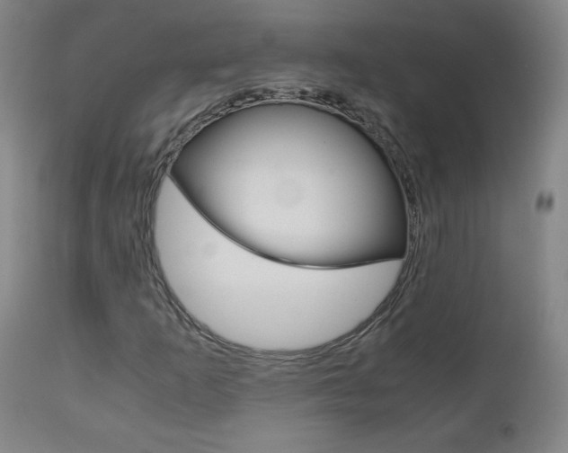 X0000113141253200909040949