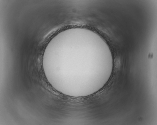X0000113141254200909040949