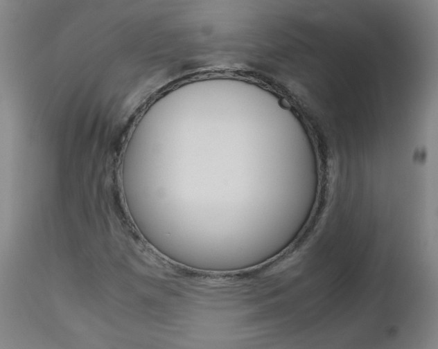 X0000113141257200909040949