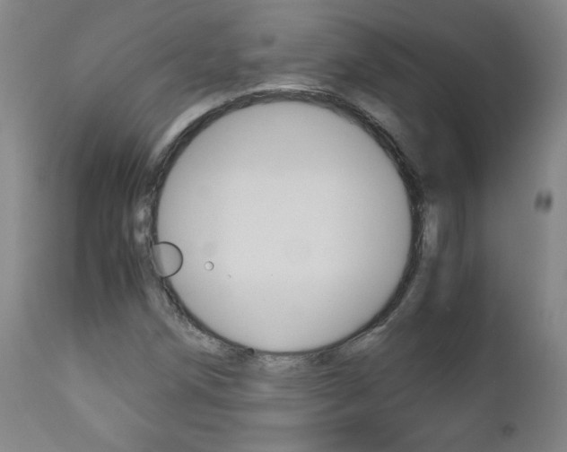 X0000113141258200909040949