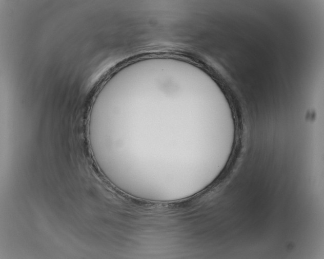 X0000113141259200909040949