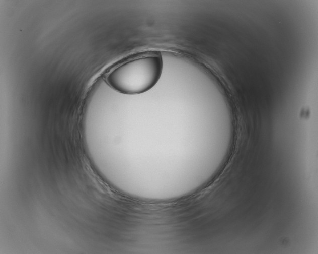 X0000113141260200909040949