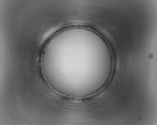 X0000113141261200909040949