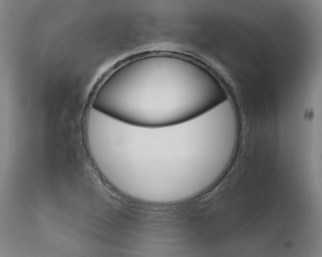 X0000113141264200909040949