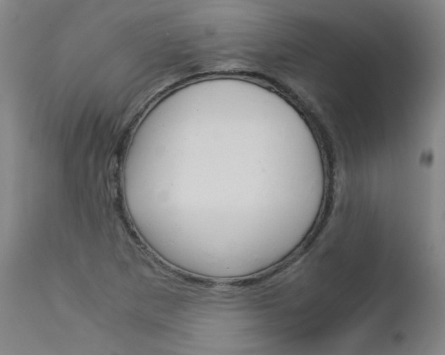 X0000113141265200909040949