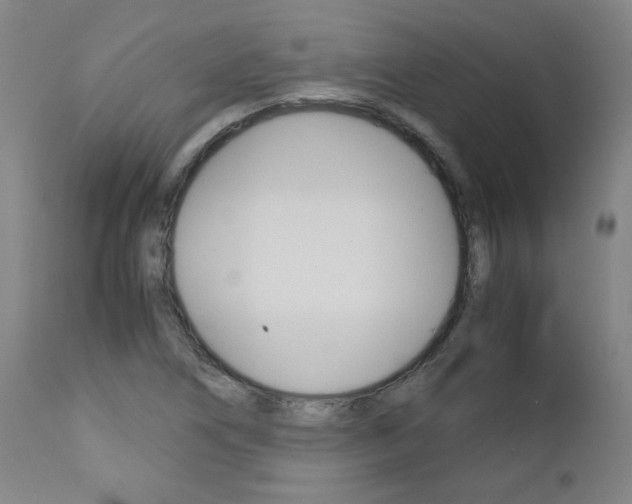 X0000113141266200909040949