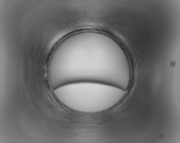 X0000113141267200909040949
