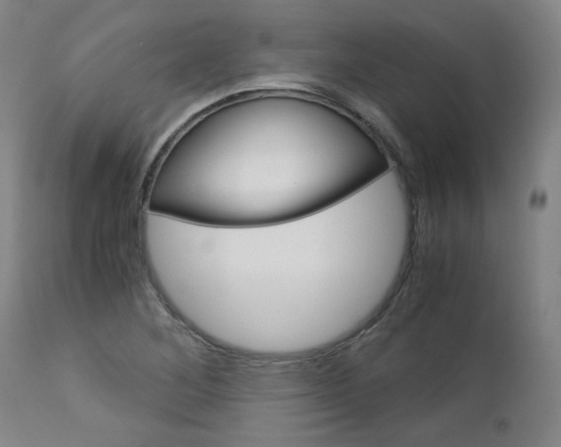 X0000113141268200909040949
