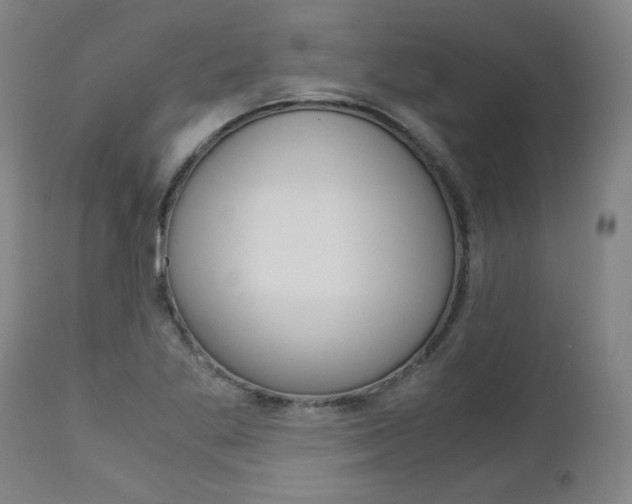 X0000113141269200909040949