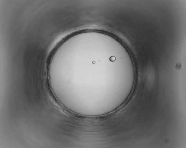X0000113141270200909040949