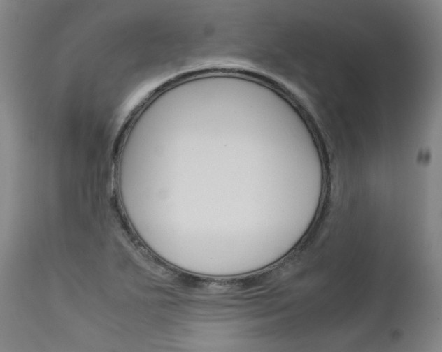 X0000113141271200909040949