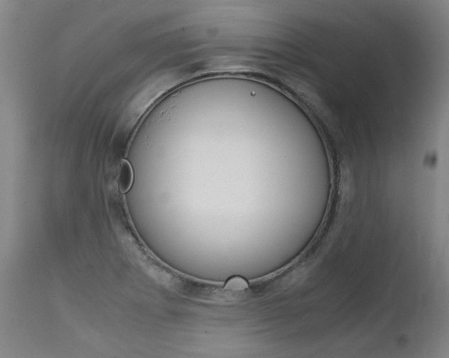 X0000113141273200909040949