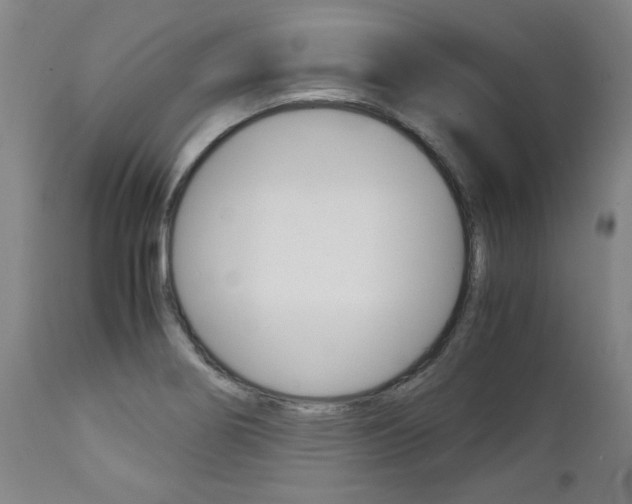X0000113141274200909040949