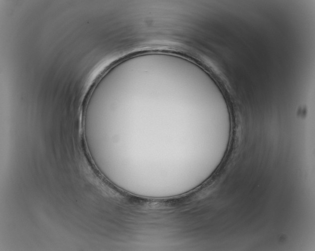 X0000113141275200909040949