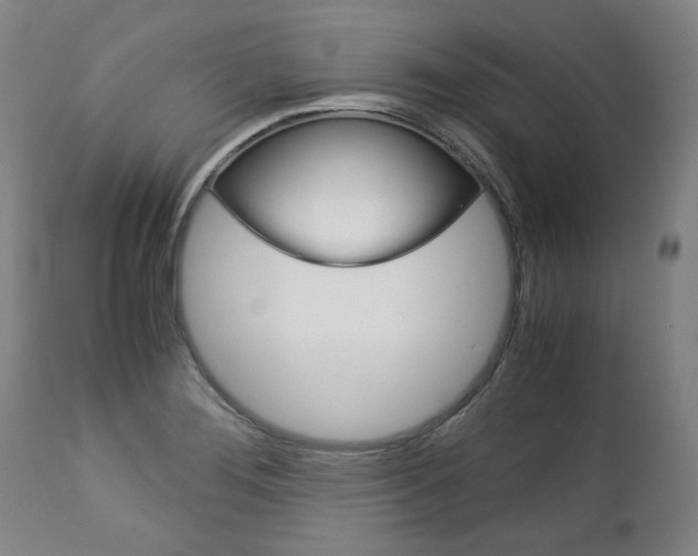 X0000113141276200909040949