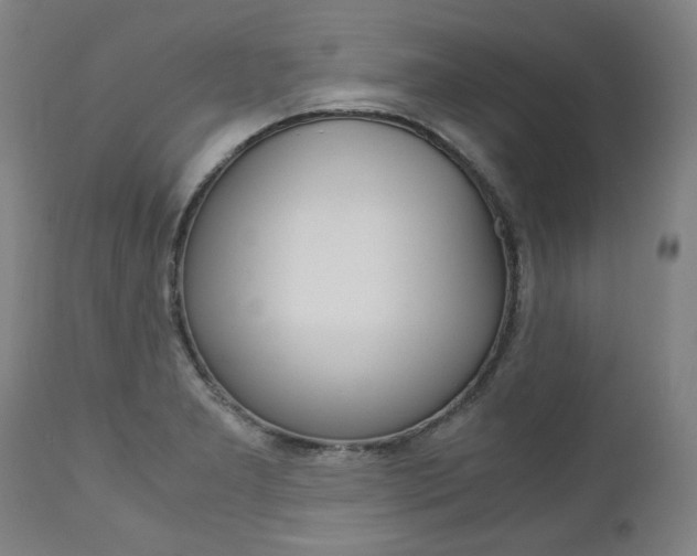 X0000113141277200909040949