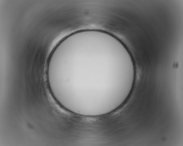 X0000113141278200909040949