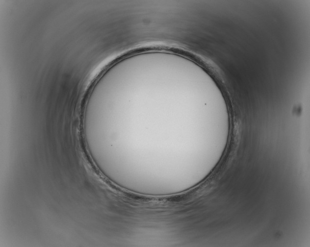 X0000113141279200909040949