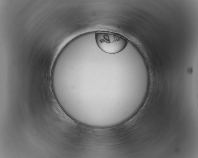 X0000113141280200909040949
