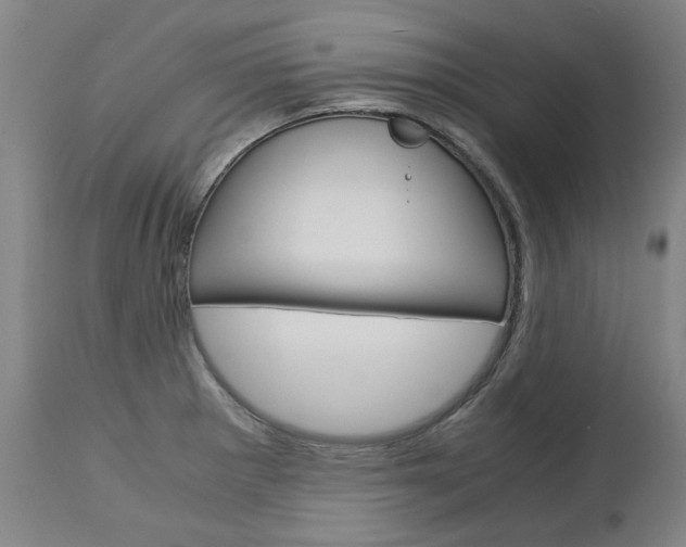 X0000113141281200909040949