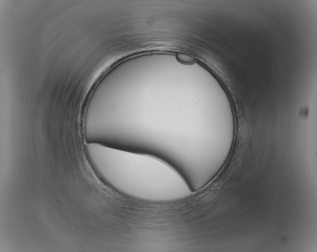 X0000113141283200909040948