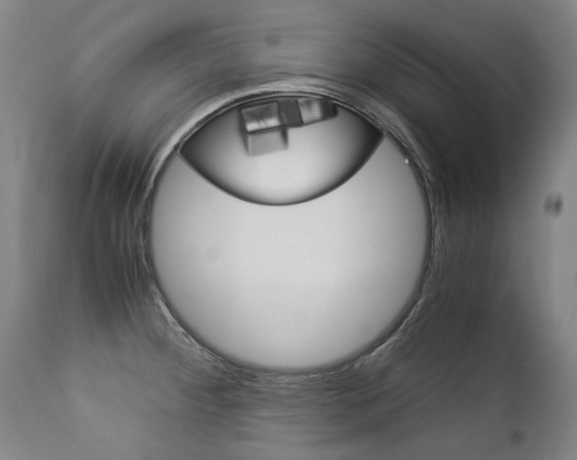 X0000113141284200909040948