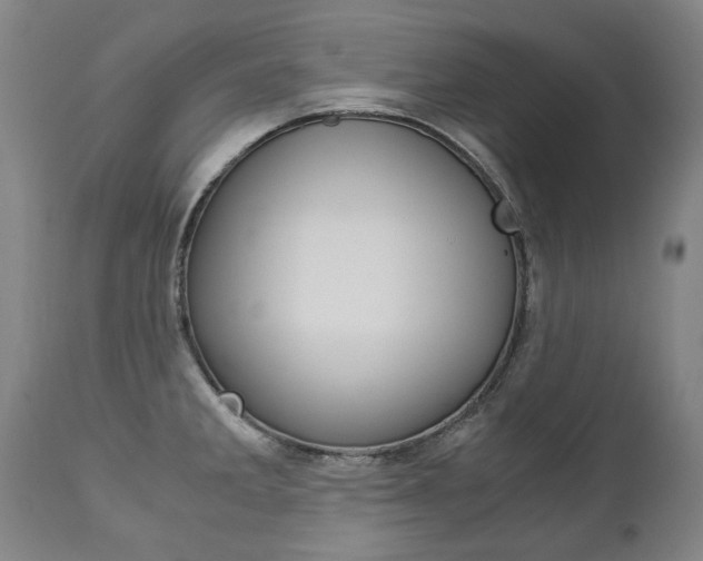 X0000113141285200909040948