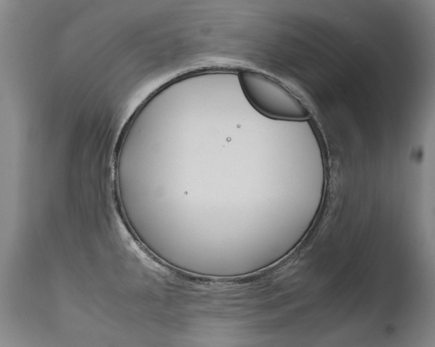 X0000113141287200909040948