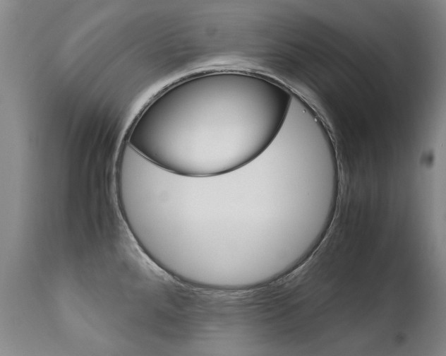 X0000113141288200909040948