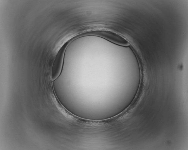 X0000113141289200909040948