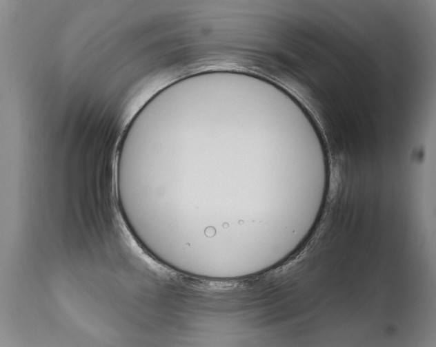 X0000113141290200909040948