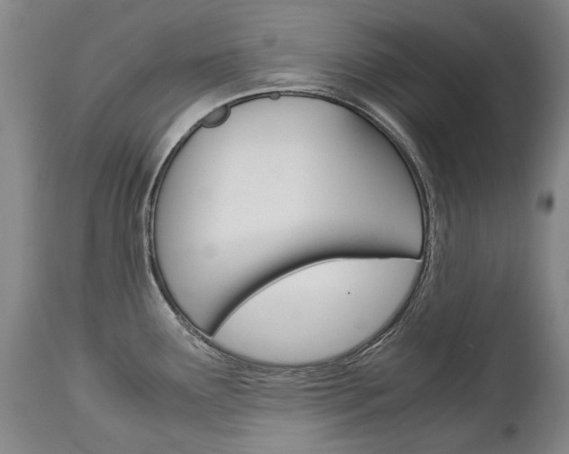 X0000113141291200909040948