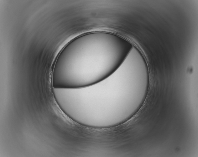 X0000113141292200909040948