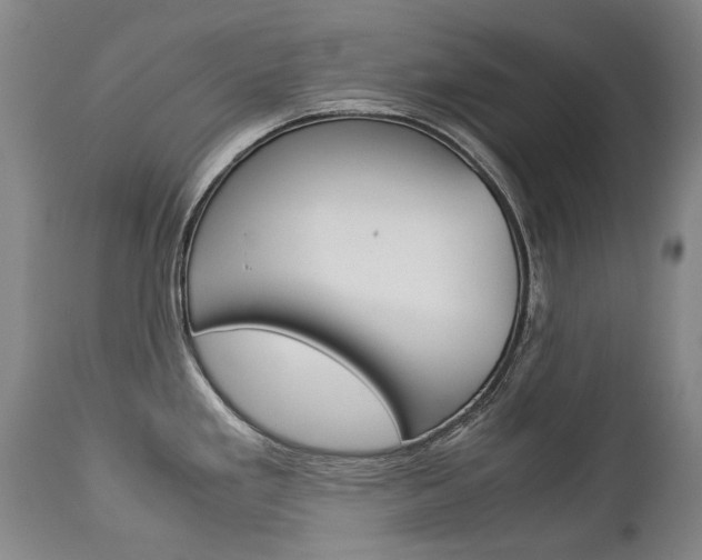 X0000113141293200909040948
